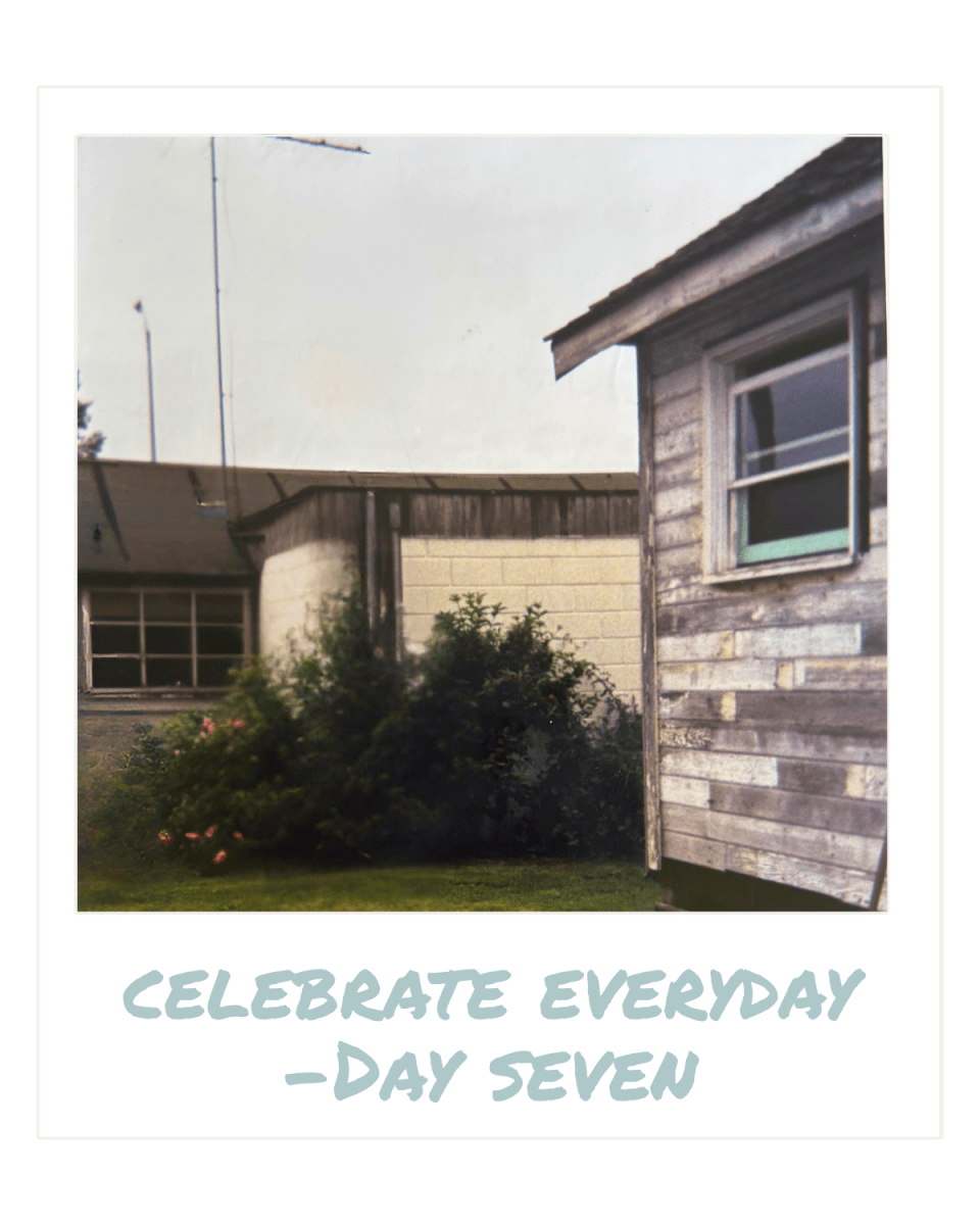 Celebrate Every Day — Day Seven thumbnail