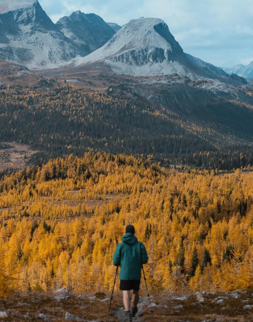 AllTrails: your outdoor companion thumbnail