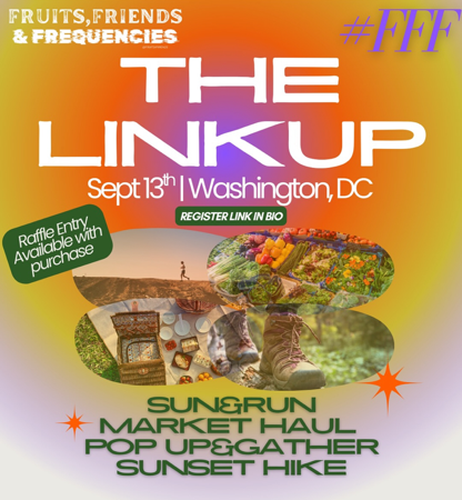 The Link Up | Washington DC thumbnail