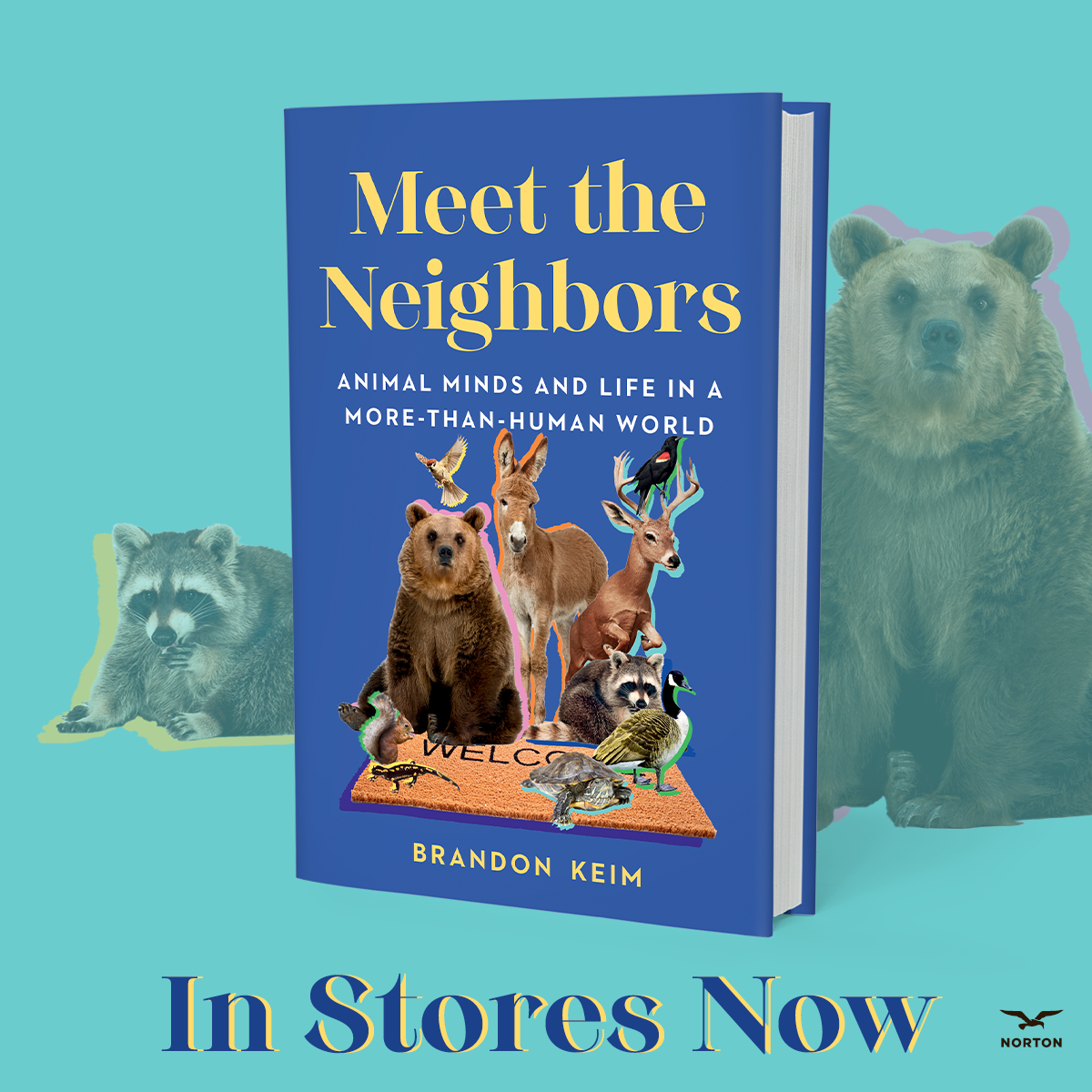 Meet the Neighbors thumbnail