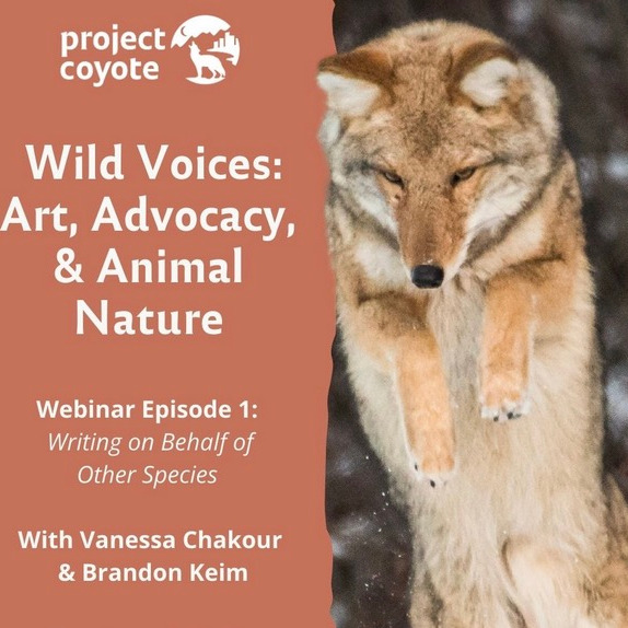 Wild Voices: Art, Advocacy, and Animal Nature  thumbnail