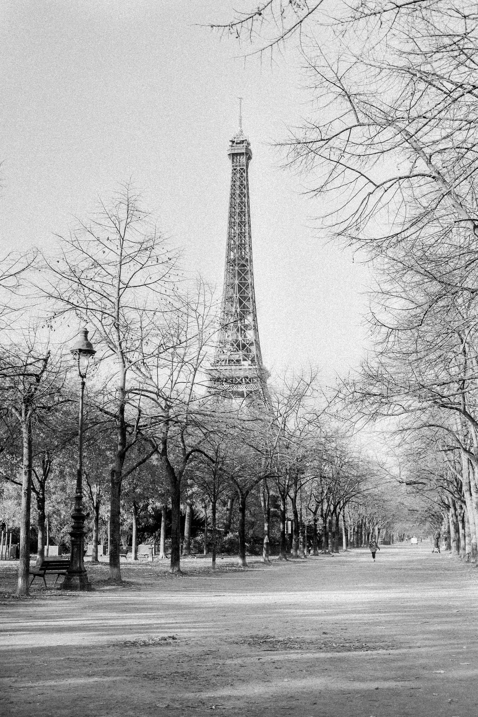 Ivvor Rocha Fine Art Prints thumbnail