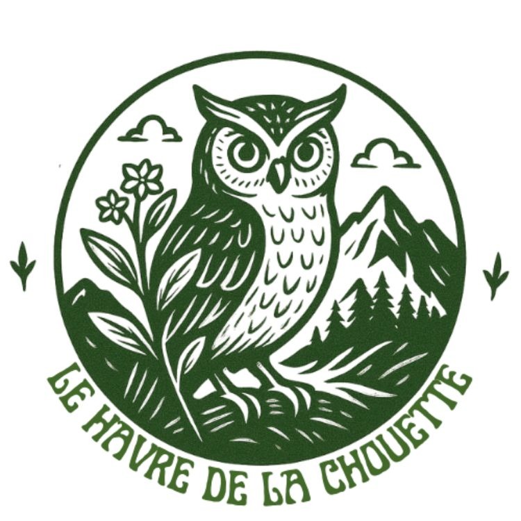 Le Blog | Ressources gratuites thumbnail