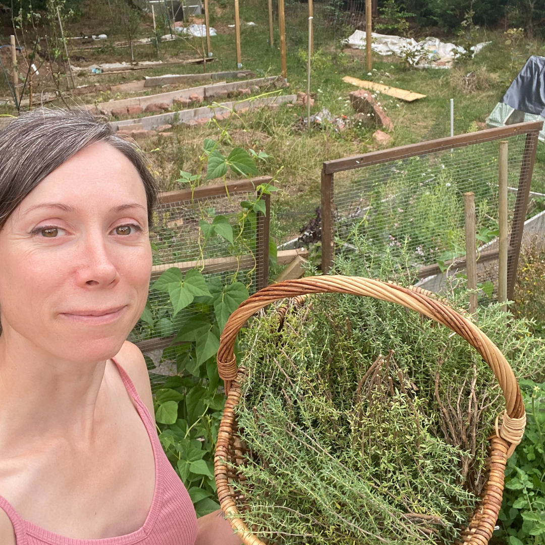 Atelier INITIATION A L'AUTONOMIE ALIMENTAIRE thumbnail