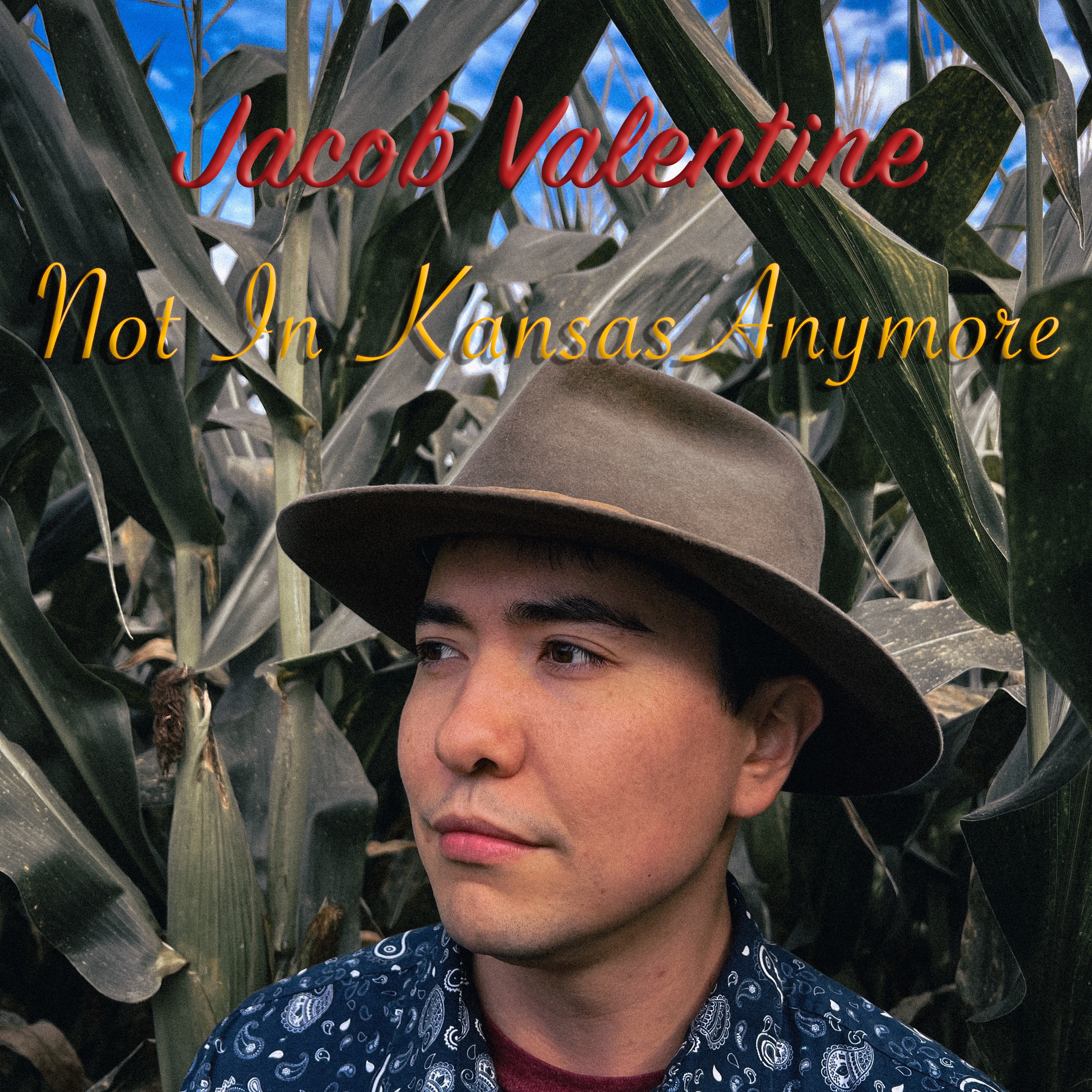 Album - Not in Kansas Anymore thumbnail