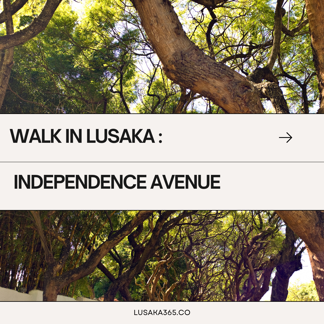 Walk in Lusaka : Independence Avenue  thumbnail