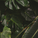 My portfolio thumbnail