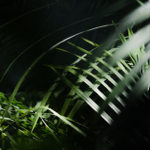 Photography account thumbnail