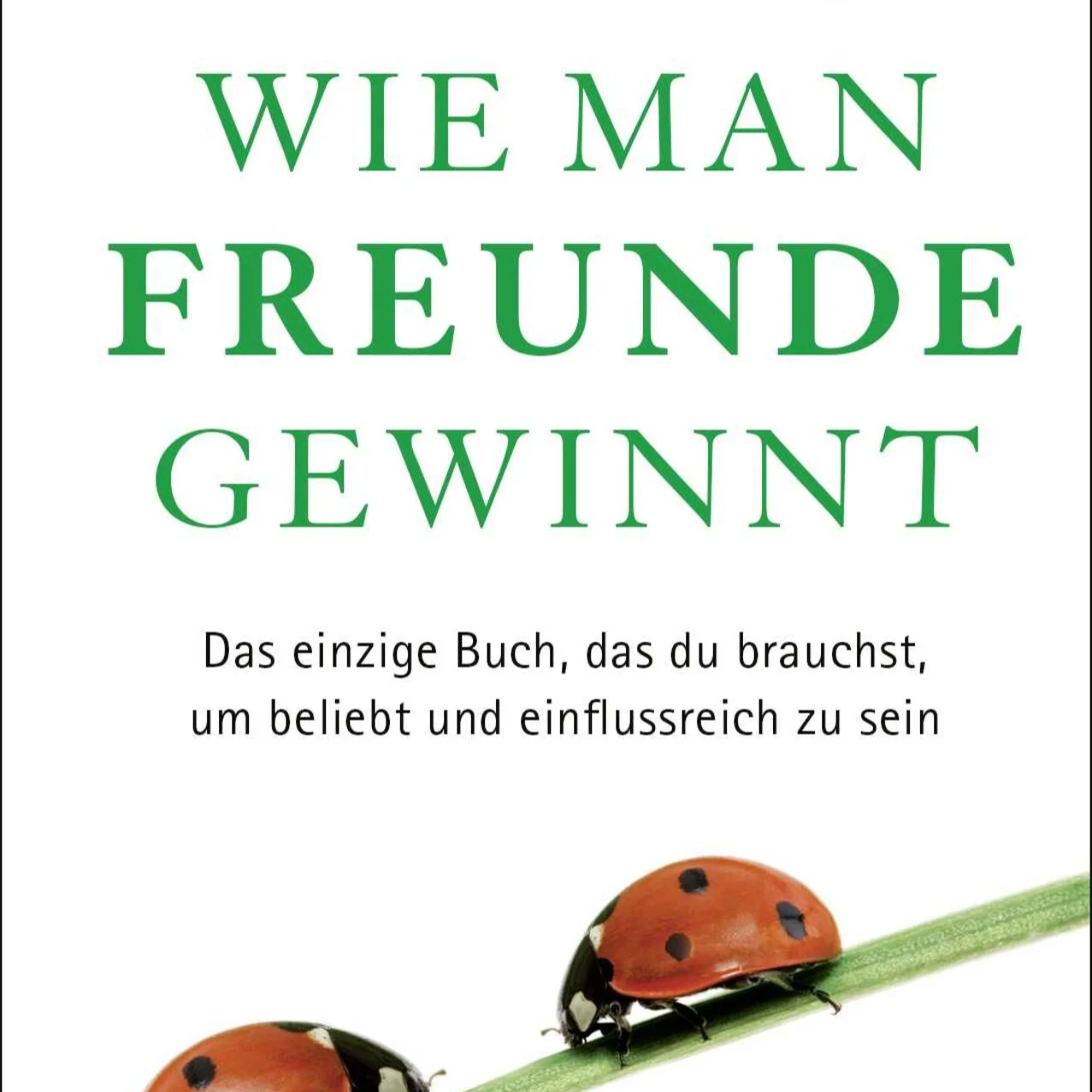 Buch Empfehlungen  thumbnail