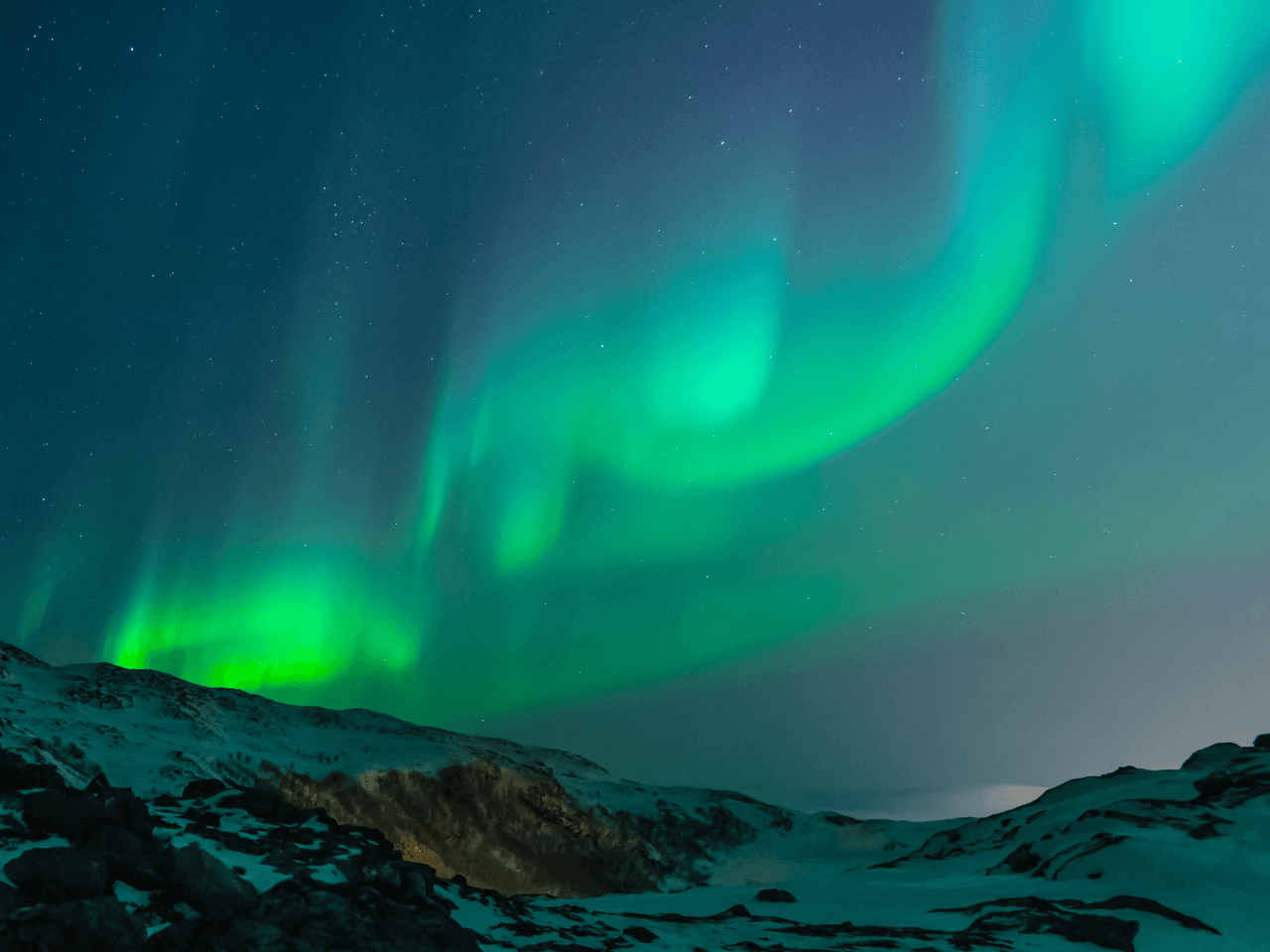 sitterinnet | BAND thumbnail