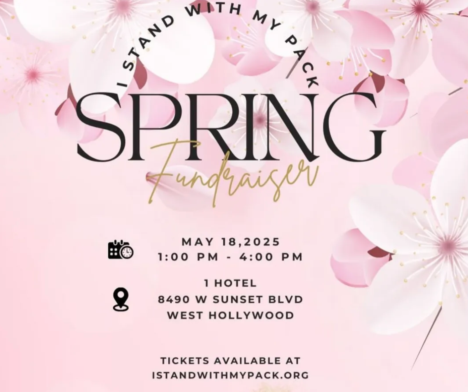 ISWMP Fundraiser May 18 🌸 thumbnail