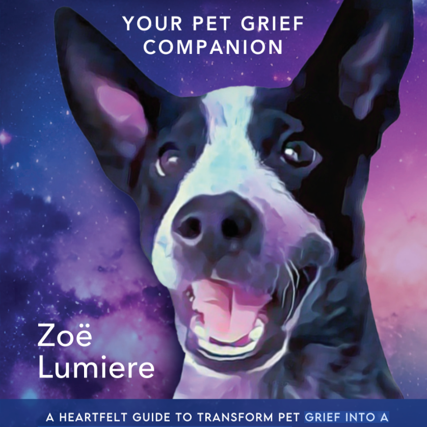 PreOrder Mum's Pet Grief Book 📖 thumbnail
