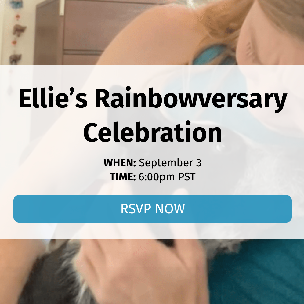 RSVP for Our Rainbow Party 🌈 🎉 thumbnail