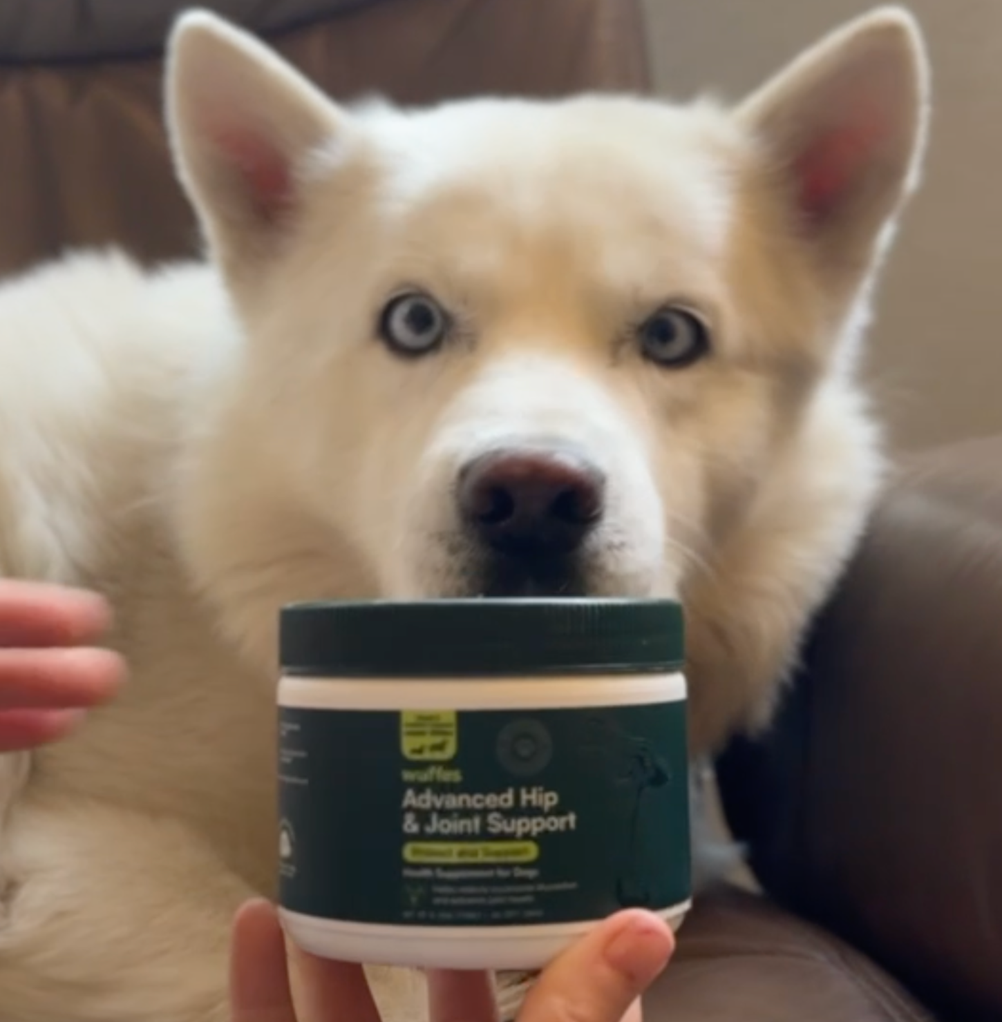SAVE 58% OFF Wuffes Hip & Joint Chews 🐶   thumbnail