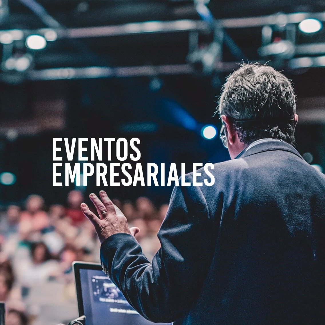 Ver portafolio thumbnail