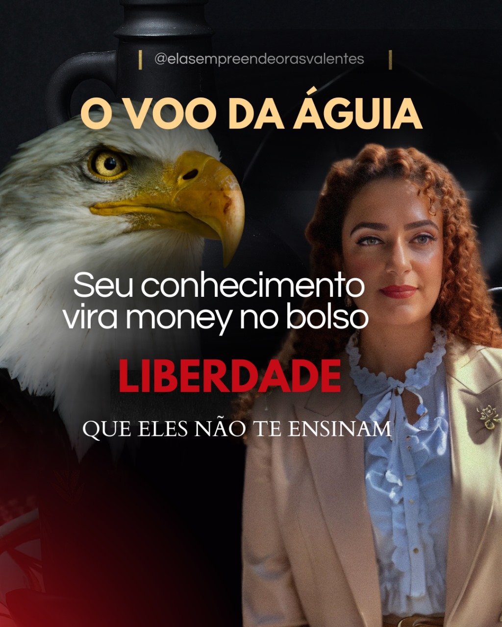Consultoria o vôo digital  thumbnail