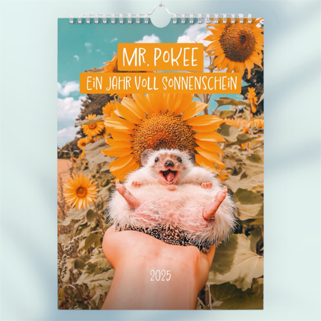 Calendar 2025 (German Version) thumbnail