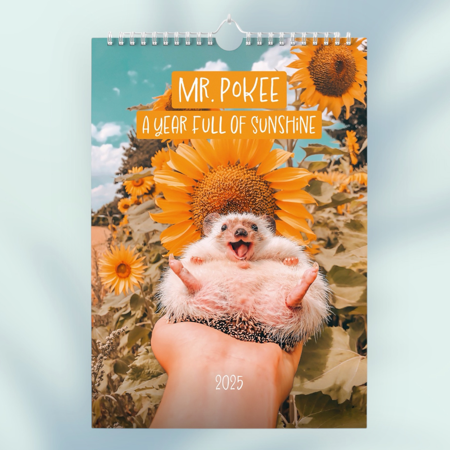 Calendar 2025 (US - English Version) thumbnail