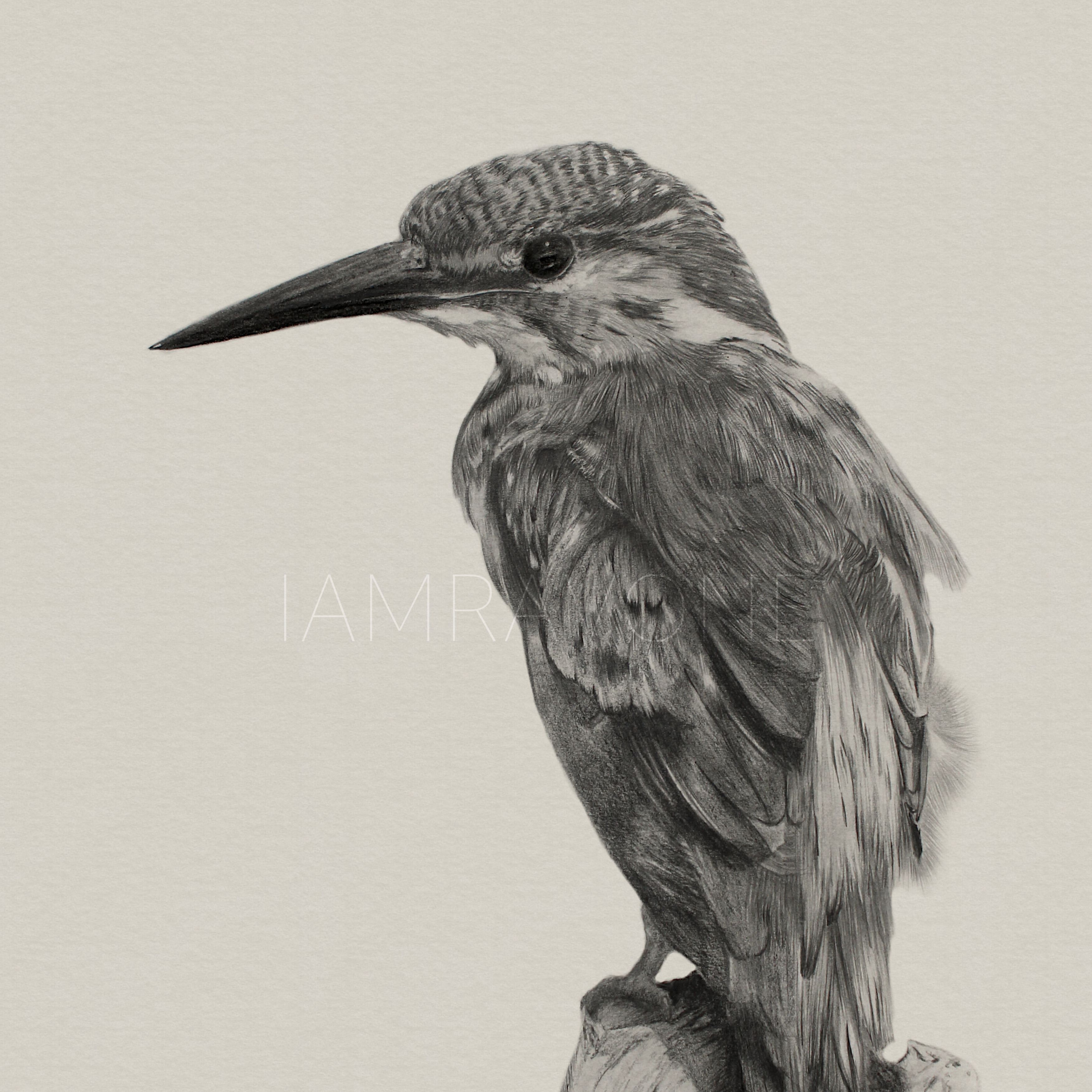 The King Drawing by Ravone Arts | Saatchi Art India thumbnail