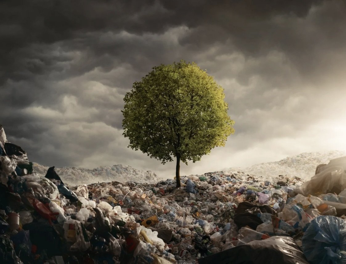 Where Your Recycling Really Goes (And Why It’s Not the Landfill) — RYSIT thumbnail