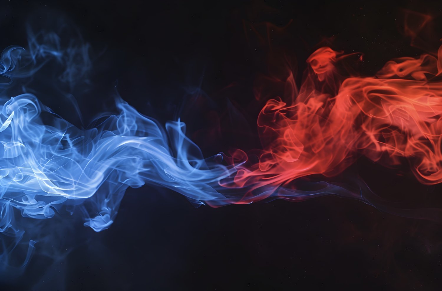 SHAPING A SUSTAINABLE FUTURE? The Presidential Candidates Perspectives thumbnail