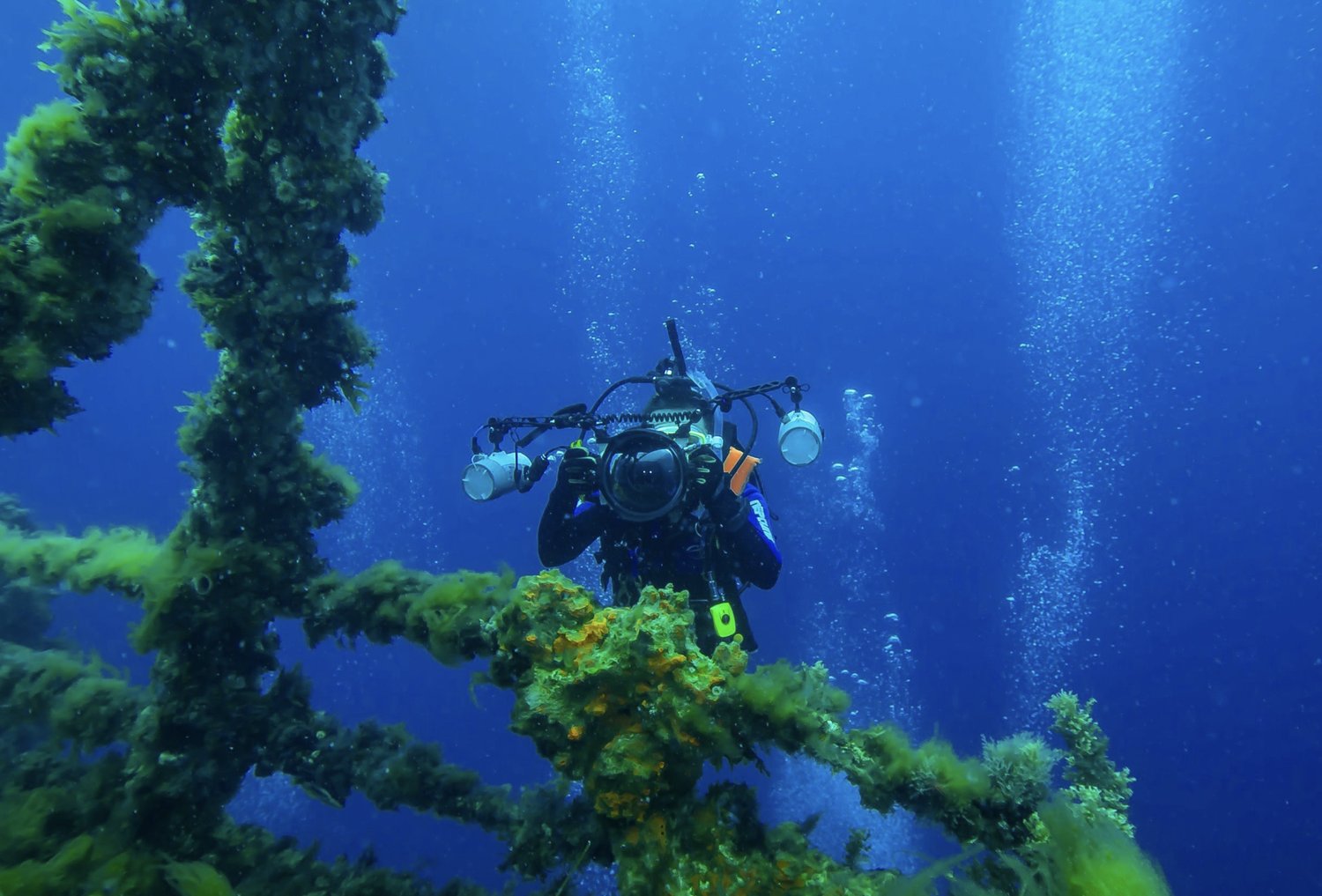 Hope after Earth Month: How Climate Tech Is Protecting Our Oceans — RYSIT thumbnail