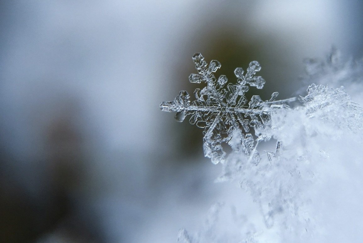 10 Last-Minute Sustainable Holiday Gifts Ideas — RYSIT thumbnail