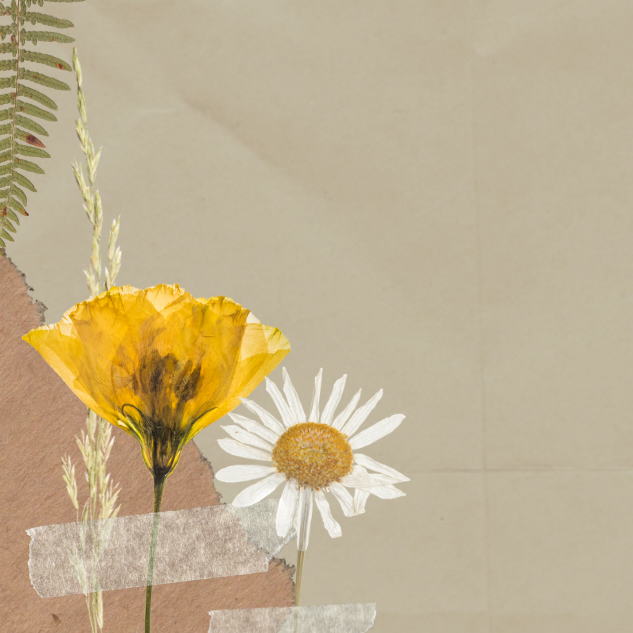 Aplicativos Úteis Econômicos thumbnail