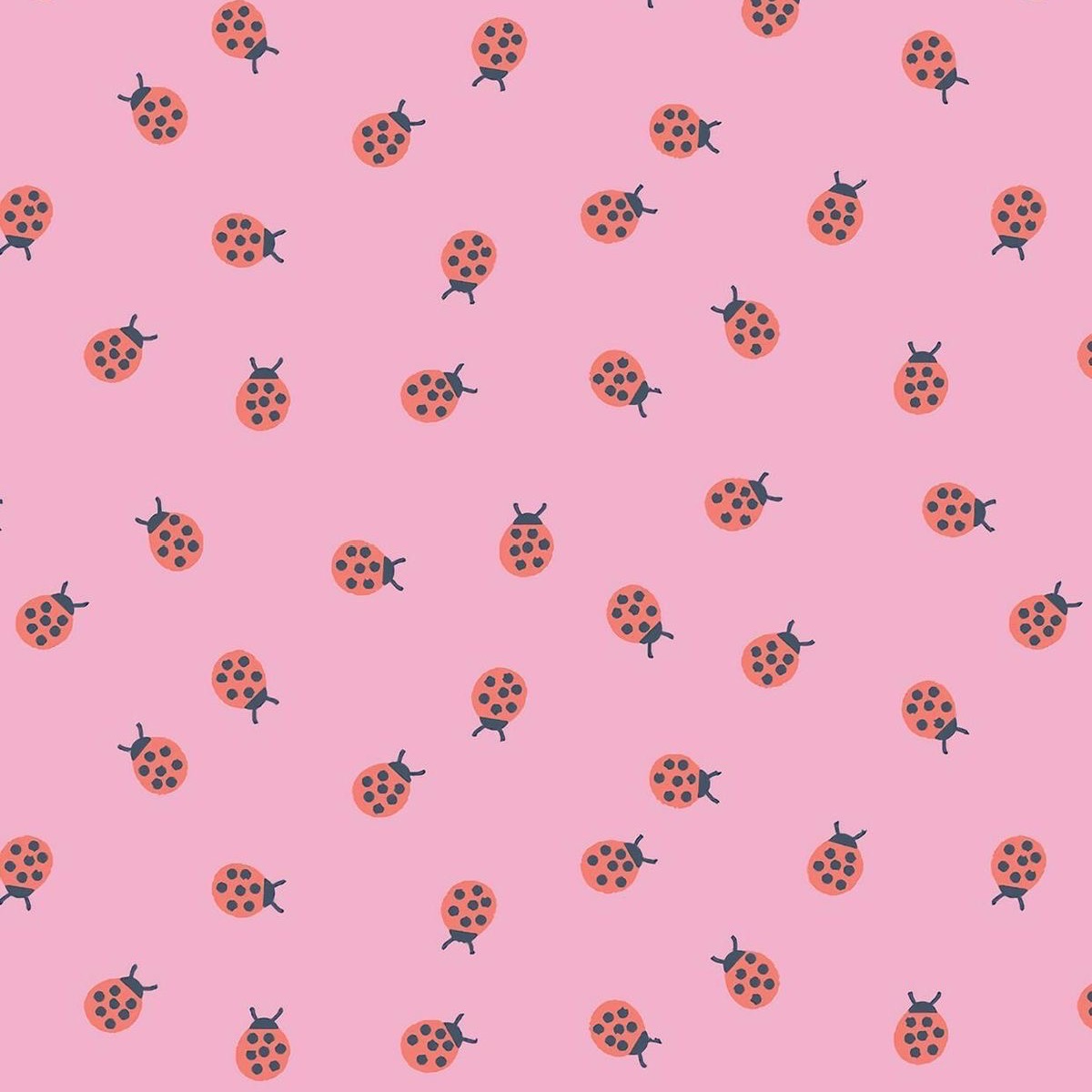 My TikTok shop favorites thumbnail