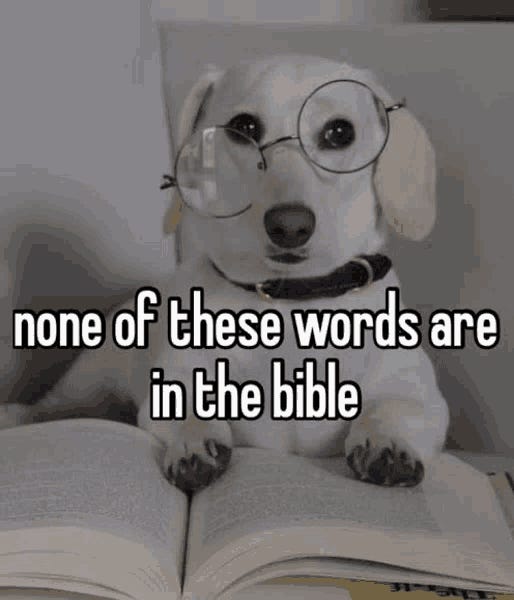 Reading comprehension is at an all time low, Astronaut dicks, & other reasons we will never see the gates of heaven thumbnail