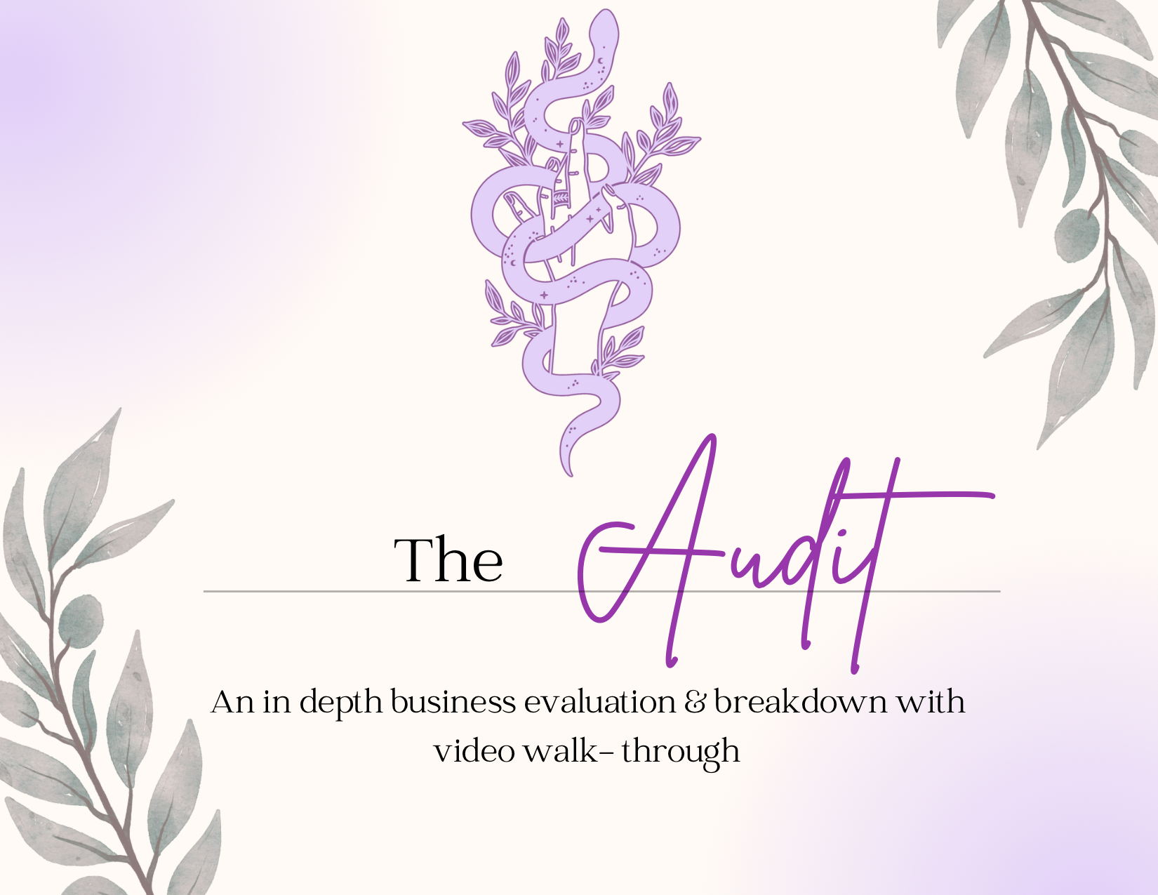Book a Digital Audit thumbnail