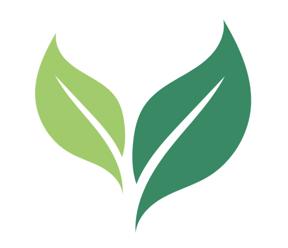 SaraGracefulWellness.com thumbnail