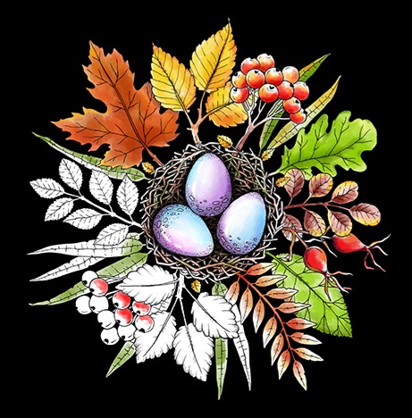 Encircled In Nature: Calming Coloring Book thumbnail