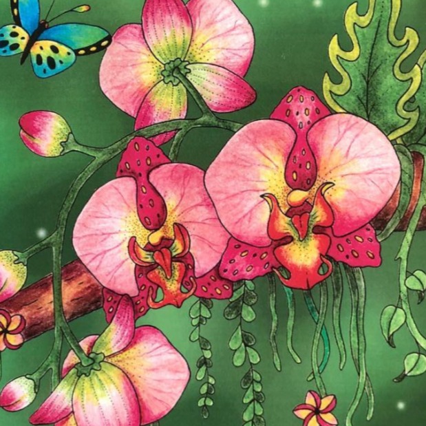 Etsy Coloring Shop thumbnail