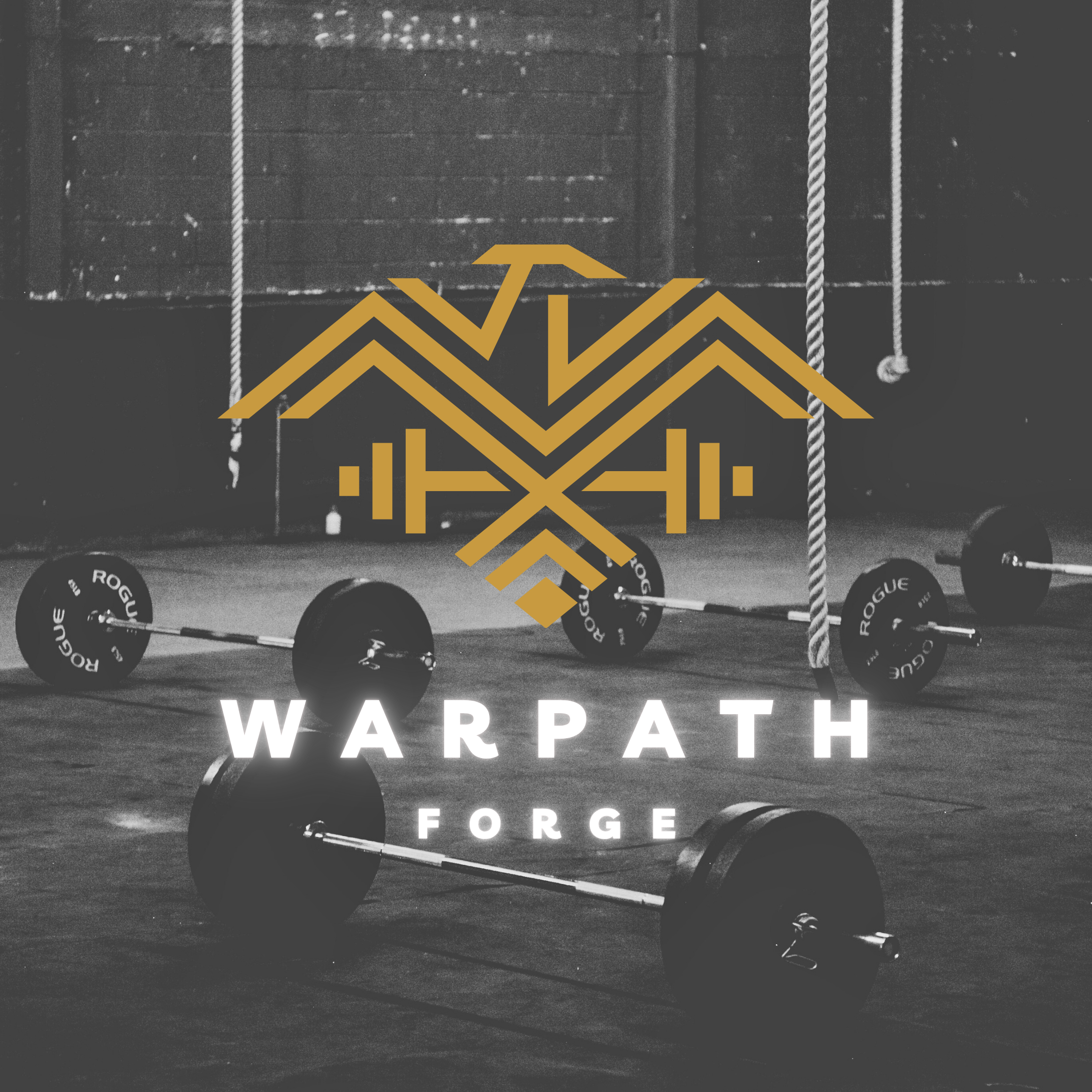 STRENGTH, FITNESS & MOBILITY thumbnail