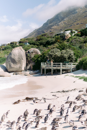 Promotions thumbnail