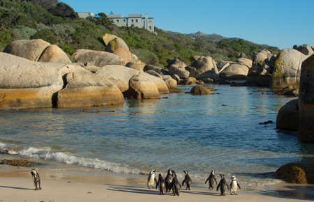 Tintswalo Travellers Club thumbnail