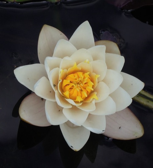 Support John's Work thumbnail