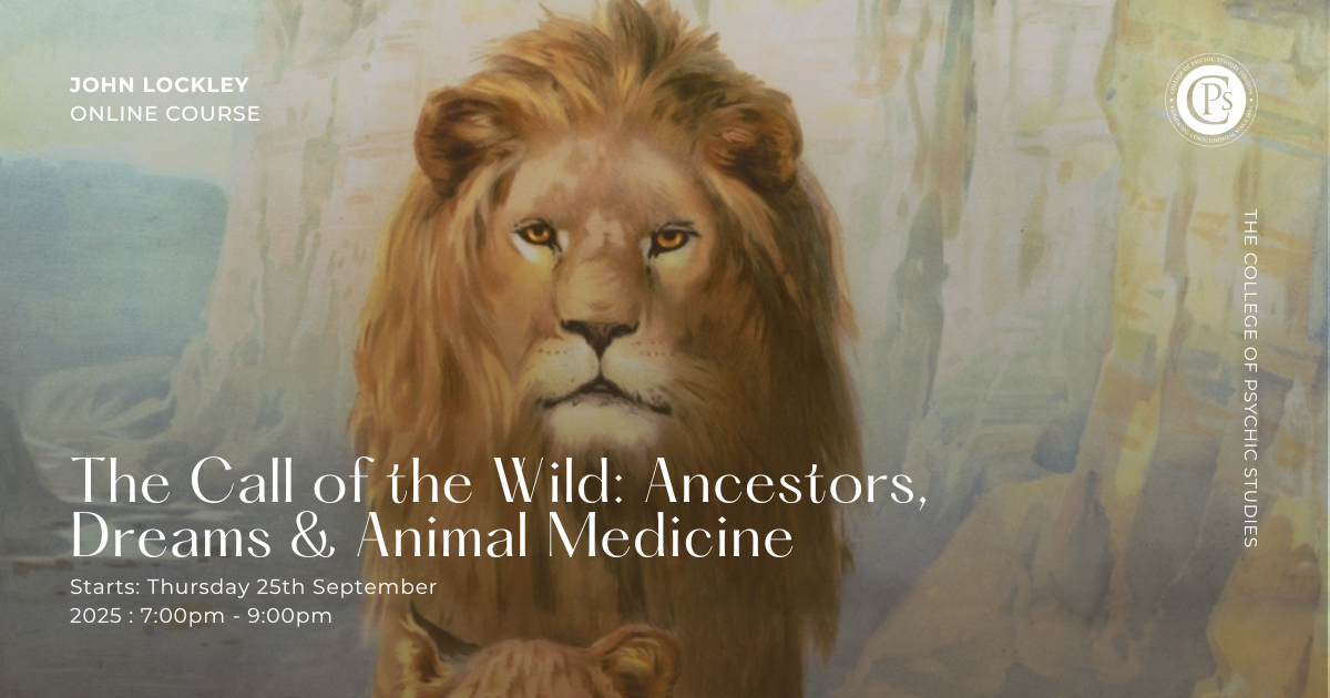 The Call of the Wild: Ancestors, Dreams and Animal Medicine — John Lockley New thumbnail