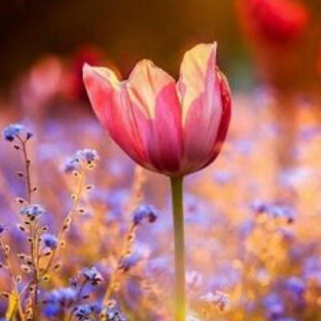 Somos Equilibrio y Armonía en WhatsApp thumbnail