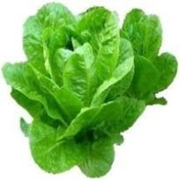 PlantaConmigo thumbnail