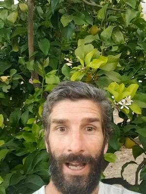 Lecturas de Cartas gratis. LeonardoKnop.com