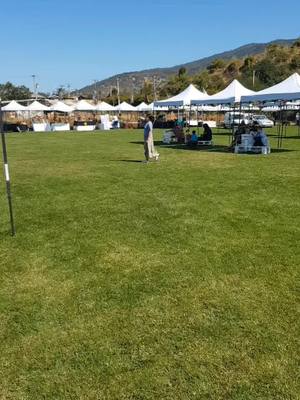 LECTURAS ENERGÉTICAS EN VIVO HOY!Dame un Like y comparte esta invitación en tu muro, gracias ♥