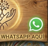 Hablar por WhatsApp → thumbnail