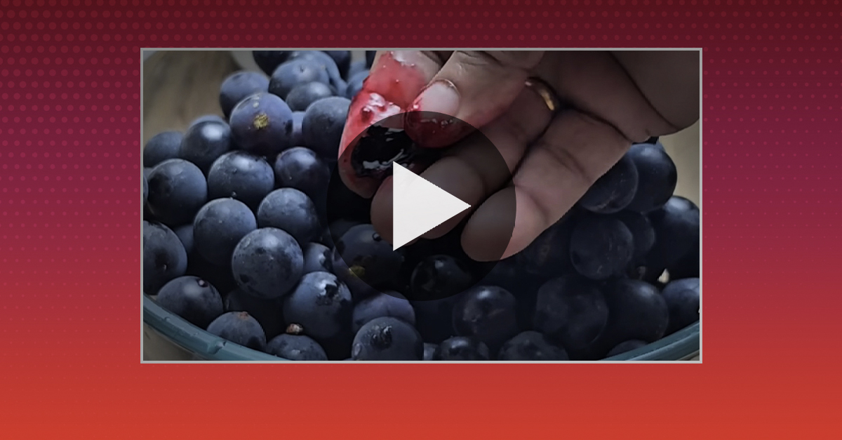 HepatoBurn-COMPRA AQUI thumbnail