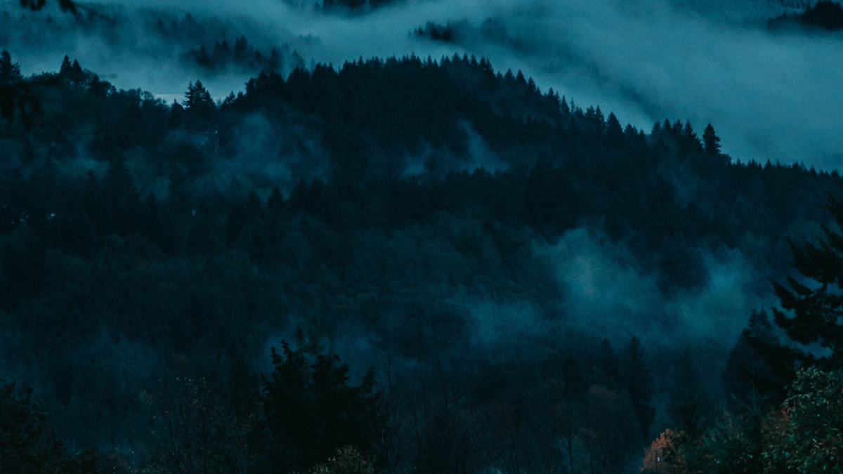 BioSite banner for @migue