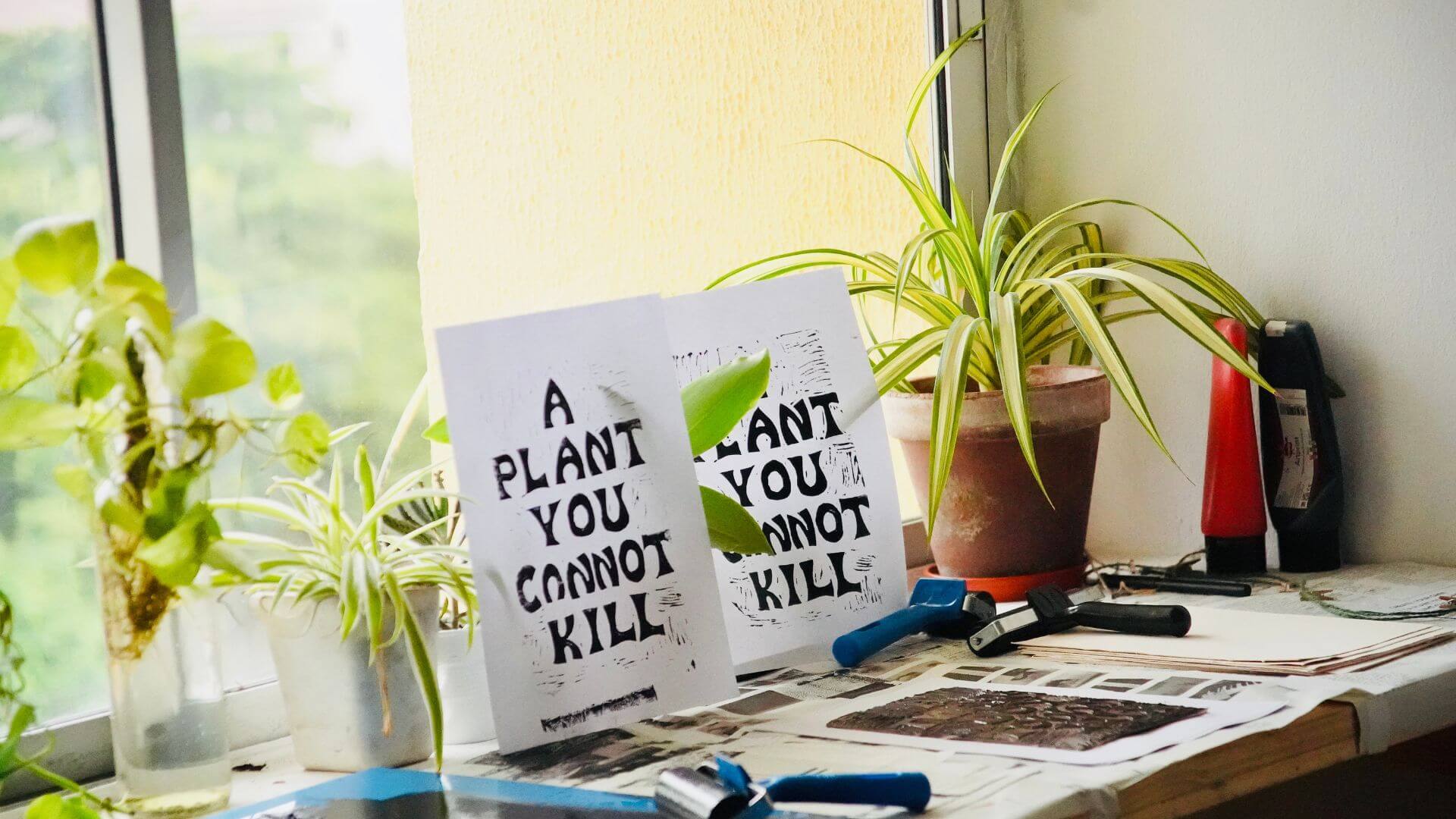 I Visited an Art Exhibition; "A Plant You Cannot Kill"-Here's How it Went thumbnail