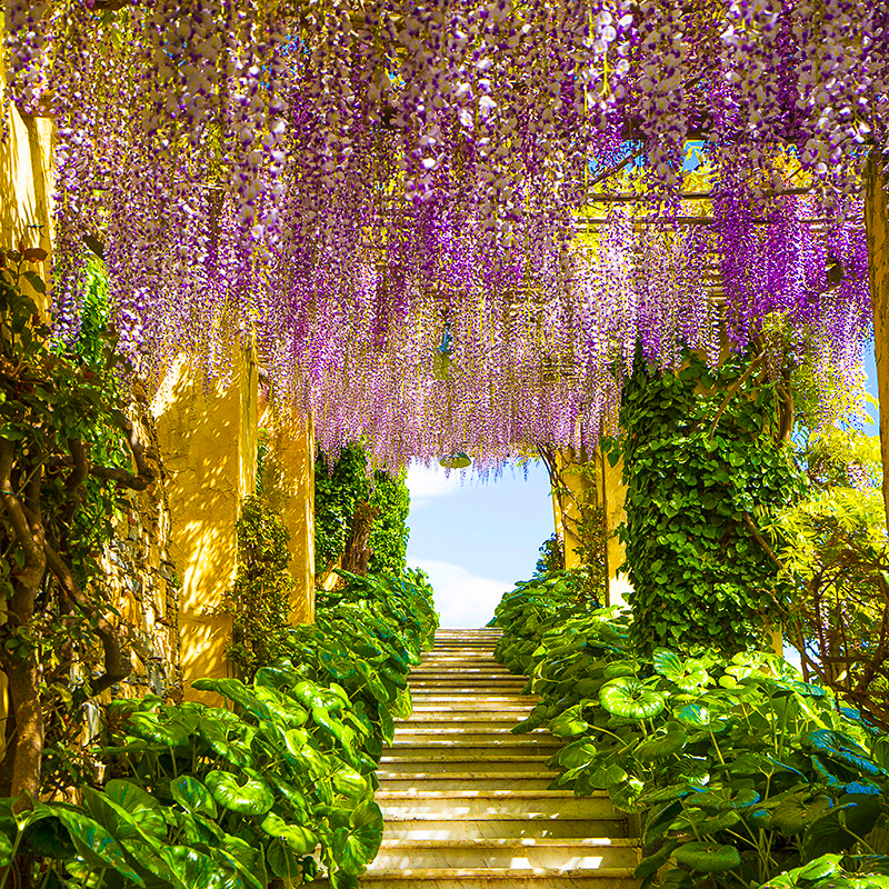 Belle Epoque Garden Villa della Pergola thumbnail