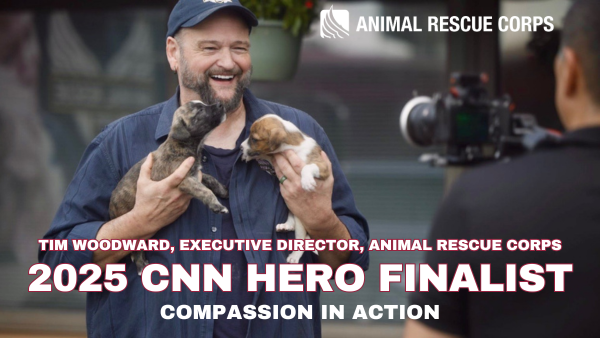 Animal Rescue Corps thumbnail