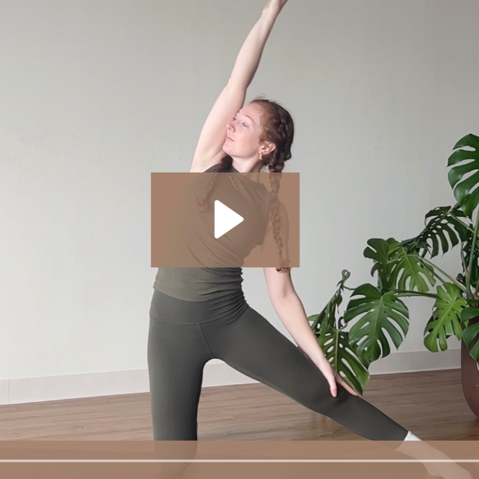 Ready-To-Teach Bundle: Back to the Roots Series thumbnail